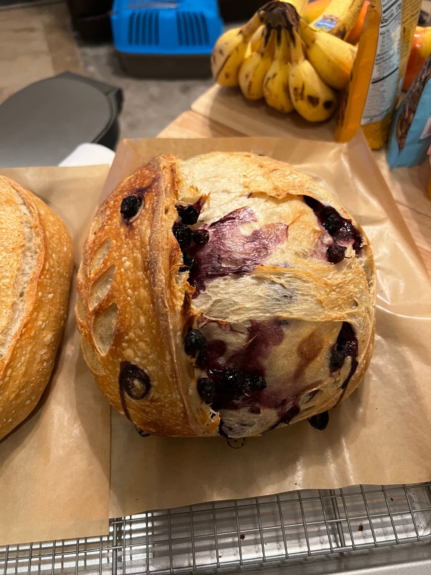 Blueberry sourdough loaf with jammy berries bursting through the crust